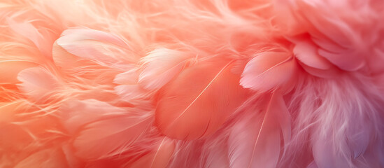 abstract texture of peach fuzz color colored feathers background banner wallpaper long wide