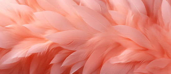 abstract texture of peach fuzz color colored feathers background banner wallpaper long wide