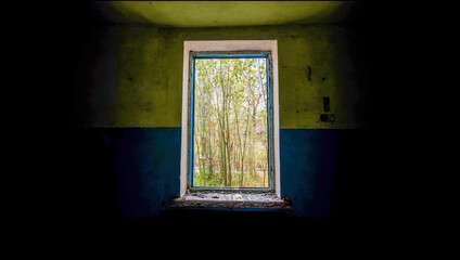 Fototapeta na wymiar view from the window of an abandoned abandoned house in the village of Ukraine