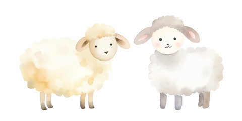 cute sheep watercolor vector illustration