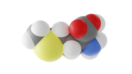 methionine molecule, proteinogenic amino acids, molecular structure, isolated 3d model van der Waals