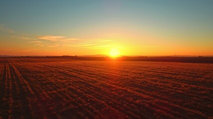 Rural Dawn: A Sunrise Blanket Over Empty Farming Land