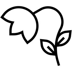 Tulip Flower Vector Icon