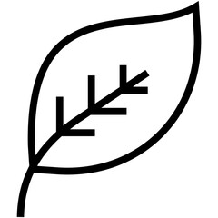 Leaf Vector Icon