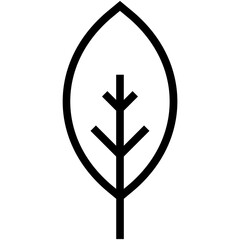 Leaf Vector Icon