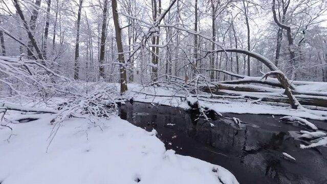 zauberhaft verschneite Winterlandschaft, Winterzauber, Tannen, Schnee, K&auml;lte, Natur, Idylle, Bach, Wald, Frost,  Winterwunderland