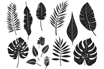 Set of palm leaves silhouettes isolated on white background.