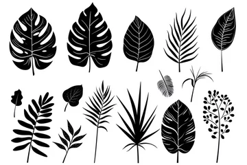 Foto op Canvas Set of palm leaves silhouettes isolated on white background. © masherdraws