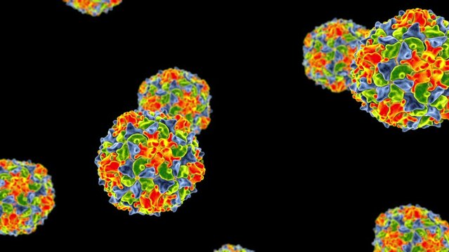 Dynamic 3D animation featuring polioviruses floating, illustrating the infectious nature of the polio virus, a vaccine-preventable disease.