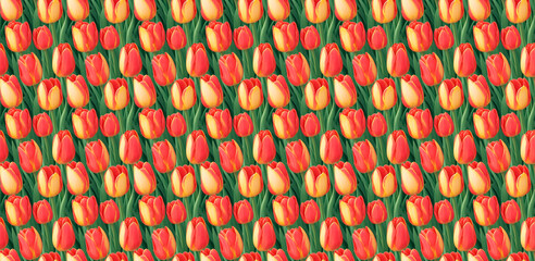 Fototapeta premium Seamless pattern with red and yellow tulips on green background. Banner with flowers. Greeting card template. 