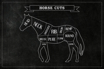 Cuts of Horse. Illustration