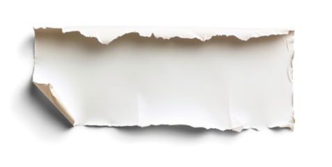 Torn Paper Edge Isolated