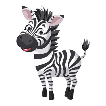 A cute zebra cartoon isolated on a white background