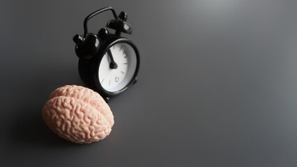Brain and alarm clock with copy space. Circadian clocks or biological clock concept - obrazy, fototapety, plakaty