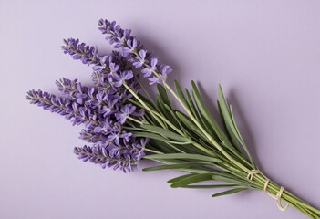 High-quality lavender flower image with transparent background. Ideal for graphic design projects.