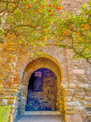 Fototapeta na wymiar Ancient Stone Arch and oranges trees by the wall in Historic European Street 