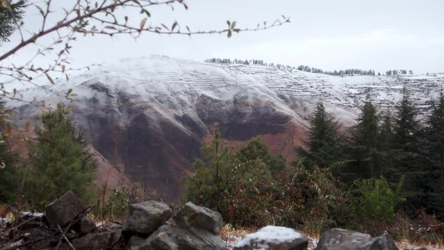 Tehri Garhwal : First snowfall blankets Himalayan meadows in Garhwal, Uttarakhand, India.