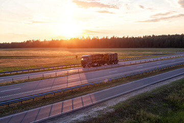 A green logging truck transports round pine logs against the backdrop of sunset in the evening. Wood import and export concept. Logging as a business, industry. Copy space for text