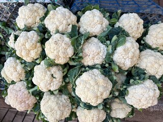 cauliflower