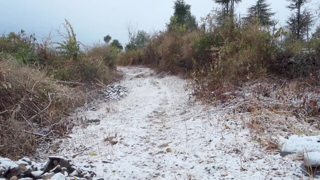 Tehri Garhwal : First snowfall blankets Himalayan meadows in Garhwal, Uttarakhand, India.