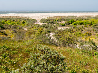 View of dunes, North Sea beach and Duinhoevepad near Renesse on Schouwen-Duiveland, Zeeland, Netherlands