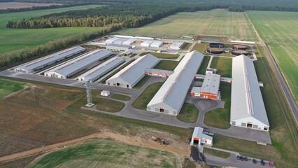 An aerial drone view of a huge dairy farm in Europe housing cows and calves. The farm area surrounded by agricultural fields, forests, lakes. Buildings on farm: cowsheds, feed storage, milking parlor