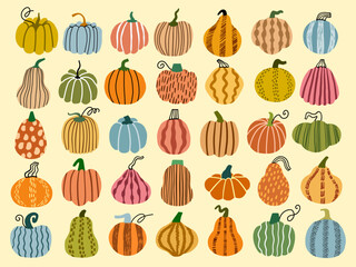 Pumpkin vector hand drawn illustration set	