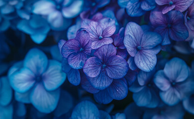 Creative Trends. Pantone Color of the Year 2023. 