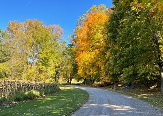 Obraz premium Country road leading through a autumn landscape of colorful oak and maple trees on a blue sky day