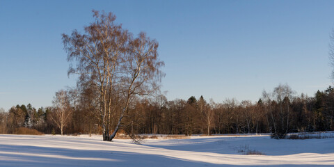 Winterlandschaft im Oberlausitzer Bergland 1