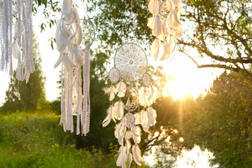 Magic dream catchers hanging on tree outdoor, abstract natural sunny background. ethnic Shaman...