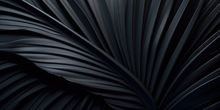  close up of the black palm leaf, Textures of abstract black leaves for tropical leaf background. Flat lay, dark nature concept, tropical leaves