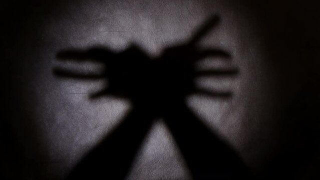 Hands showing shadow theater depicting crawling spider on wall.