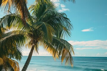 Tropical beach scene with palm trees against a clear blue sky.