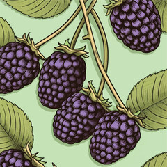 Blackberry. Ripe berries on branch. Seamless pattern