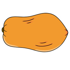 illustration of a papaya