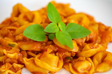 Traditional stuffed capeletti pasta with tomato sauce served on a white plate.