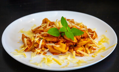 Traditional stuffed capeletti pasta with tomato sauce served on a white plate.