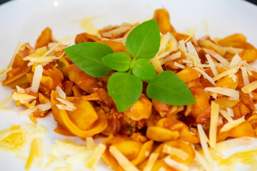 Traditional stuffed capeletti pasta with tomato sauce served on a white plate.