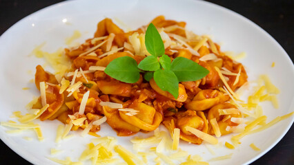 Traditional stuffed capeletti pasta with tomato sauce served on a white plate.