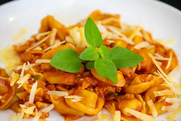 Traditional stuffed capeletti pasta with tomato sauce served on a white plate.