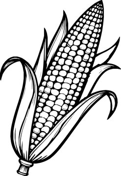 recommend clip art: black and white illustration of a corn