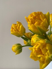 Elevate your decor with 'Sunny Elegance' – a radiant bouquet of yellow tulips in a chic white...