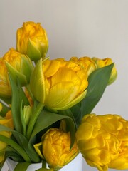 Elevate your decor with 'Sunny Elegance' – a radiant bouquet of yellow tulips in a chic white...