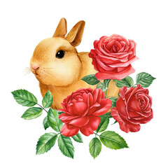 Cute easter bunnies and flowers, watercolor drawing painting. Easter poster with red rose and leaves on white background