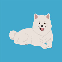Samoyed dog vector illustration. Cute friendly dog, isolated on blue background. Great for icon, symbol, card, children's book, pet shop