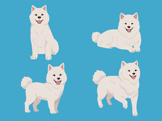 Set of Samoyed in cartoon style. Collection of dog characters, flat illustration for design, decor, print, stickers, posters. Vector illustration.