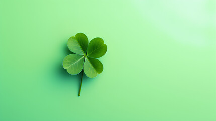 Flat lay of four-leaf clover with green background. Happy St. Patrick's Day.