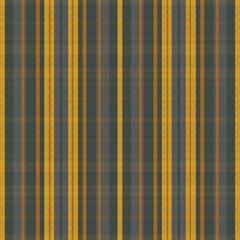 Tartan plaid pattern with texture.