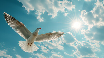 Obraz premium Hintergrund ein weißer Vogel an einem sonnigen Tag mit blauem Himmel